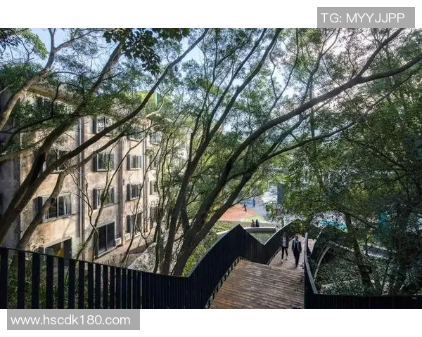 张超在篮球场上的成长历程与未来发展潜力分析 张超在篮球场上的成长历程与未来发展潜力分析